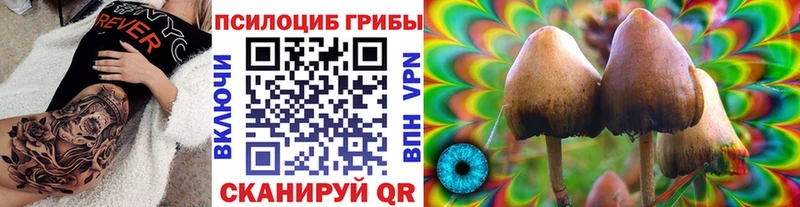 OMG зеркало  Соликамск  Псилоцибиновые грибы Cubensis 