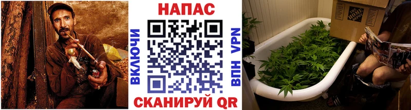дарнет шоп кракен tor Марихуана тримм Соликамск